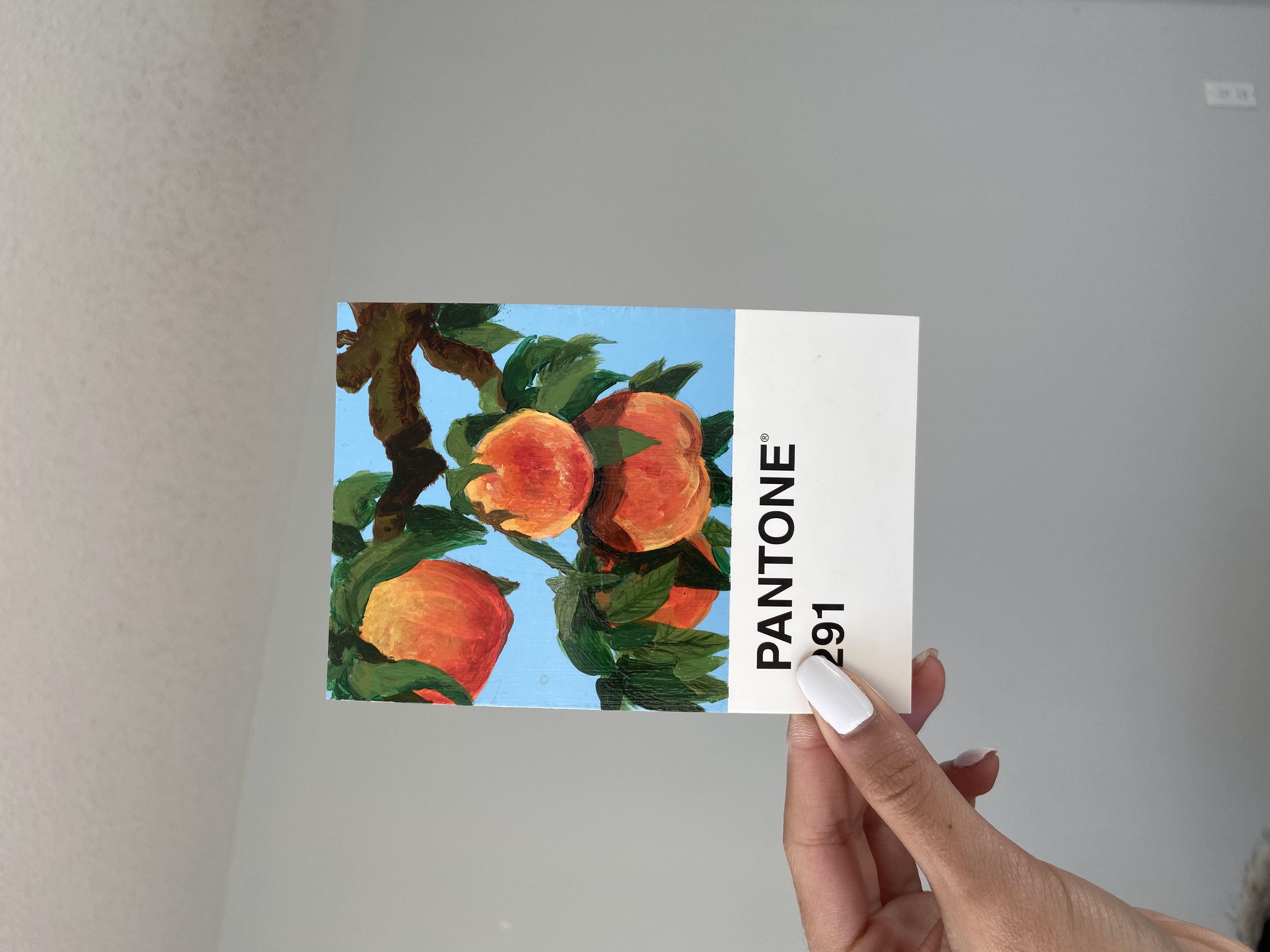 pantone 291.jpg